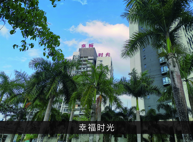 幸福时光_优发国际-业绩案例