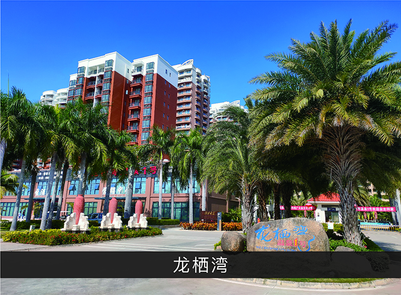 龙栖湾_优发国际-业绩案例