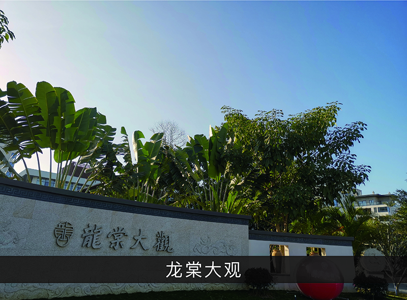 龙棠大观_优发国际-业绩案例