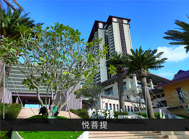 悦菩提_优发国际-业绩案例