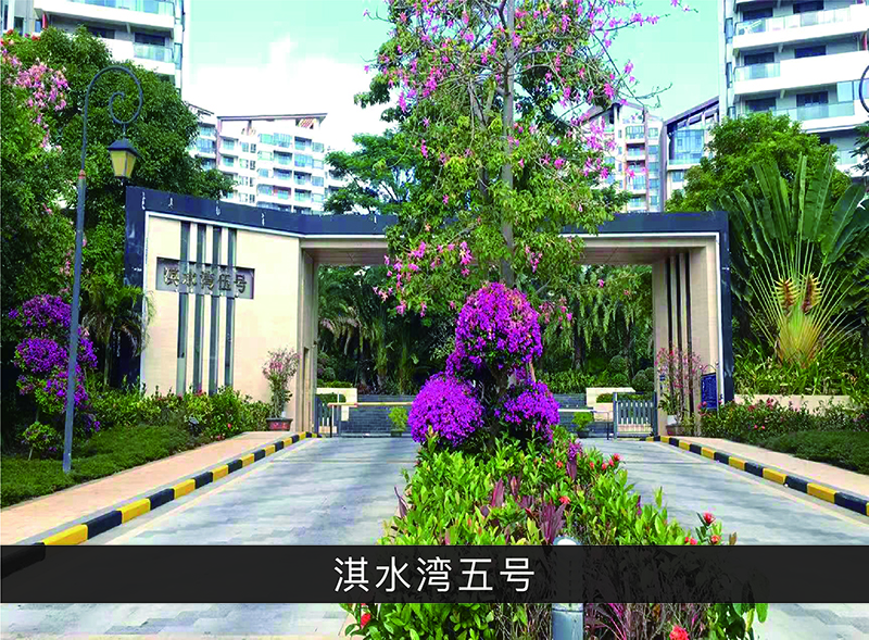 淇水湾五号_优发国际-业绩案例