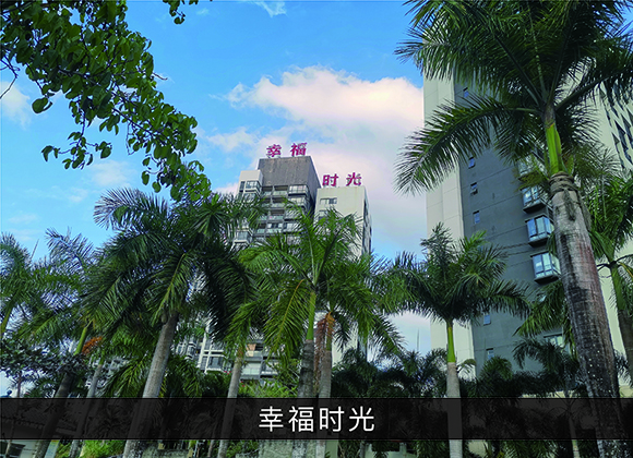 优发国际-业绩案例