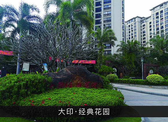 优发国际-业绩案例