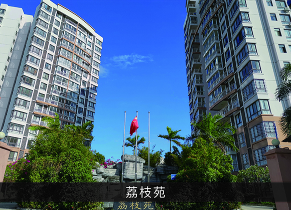 优发国际-业绩案例