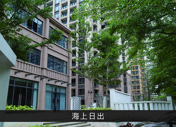 优发国际-业绩案例