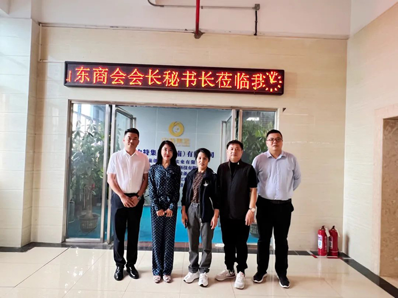 海南省山东商会会长秘书长一行人到优发国际莅临指导_优发国际-新闻中心